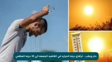حار ورطب.. ارتفاع درجة الحرارة في القاهرة الجمعة إلى 35 درجة العظمى